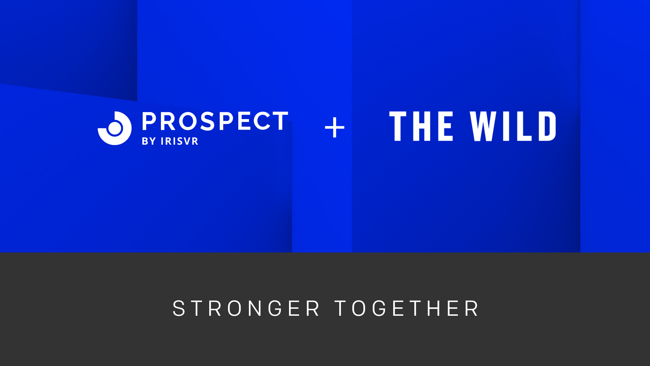 Prospect + The Wild